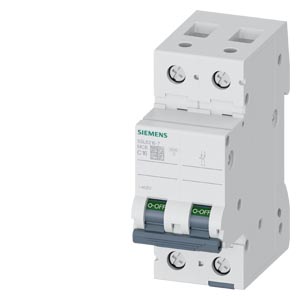 Siemens 5SL6206-7 2 Kutuplu C6 Otomatik Sigorta